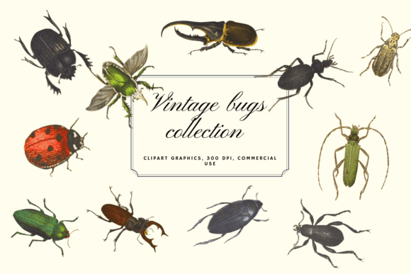 Charming Vintage Bugs Collection for Modern Design